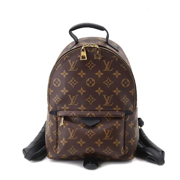 Louis Vuitton Monogram Palm Springs Backpack PM Backpack Brown - Picture 1 of 8